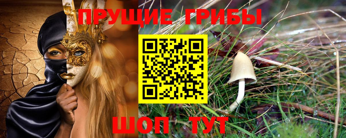 Псилоцибиновые грибы ЛСД  Вход с VPN  Партизанск  Псилоцибиновые грибы Psilocybine cubensis 